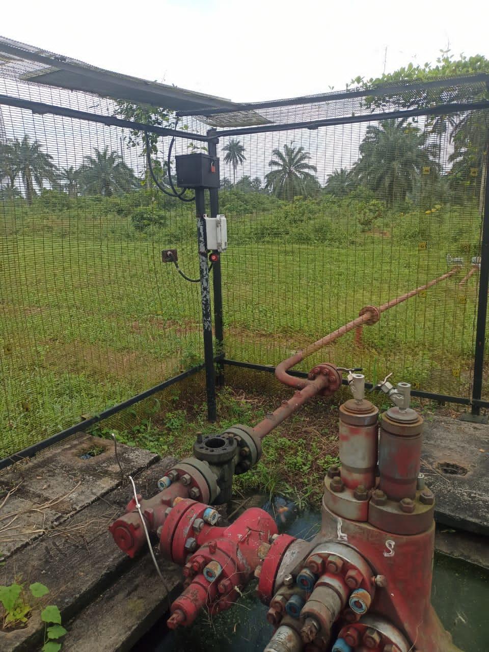 caged wellhead in a surveillance protection